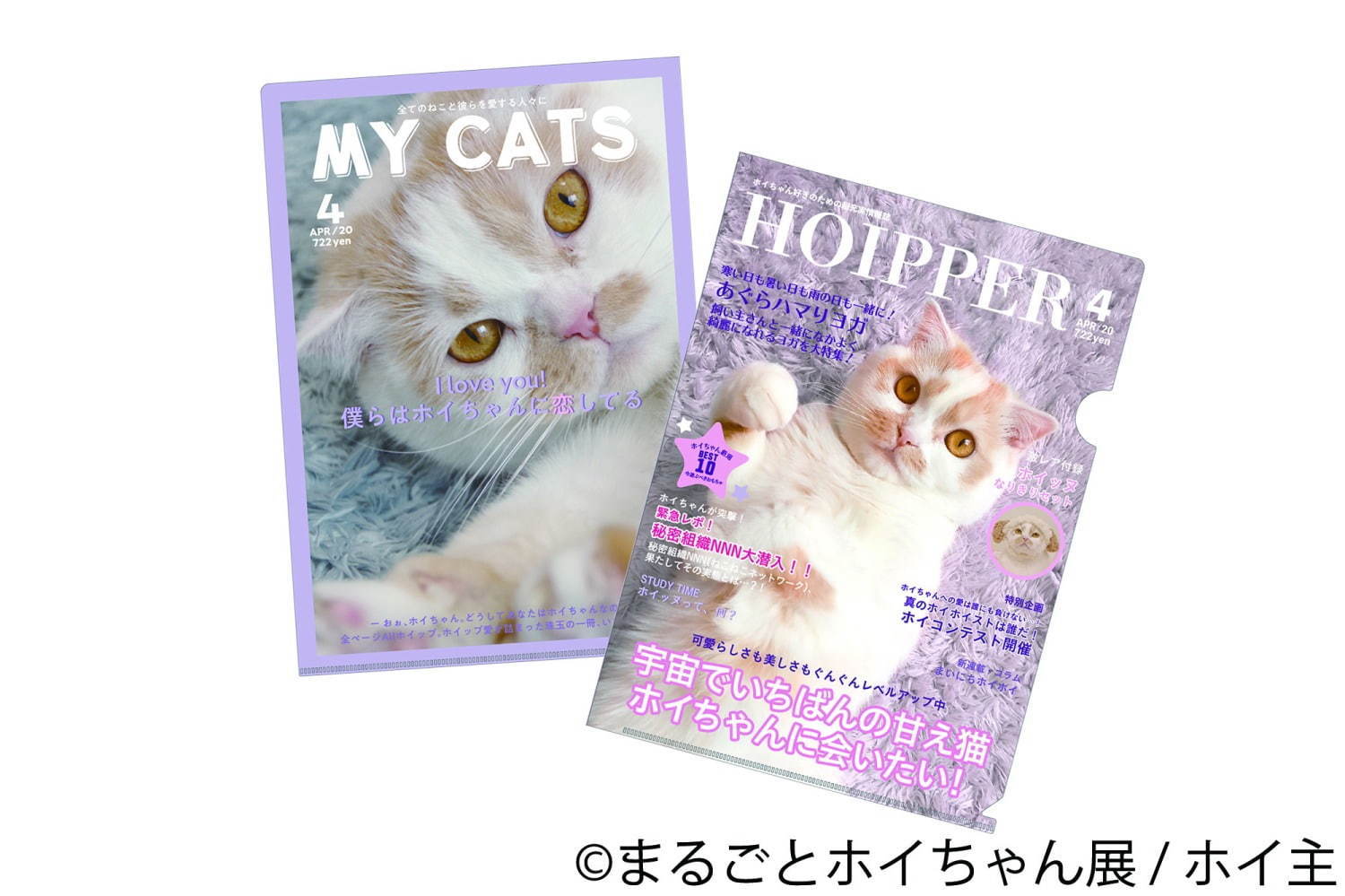 ねこ休み展スピンオフ「まるごとホイちゃん展」カレッタ汐留で、人気猫“ホイちゃん”の写真＆物販展｜写真9