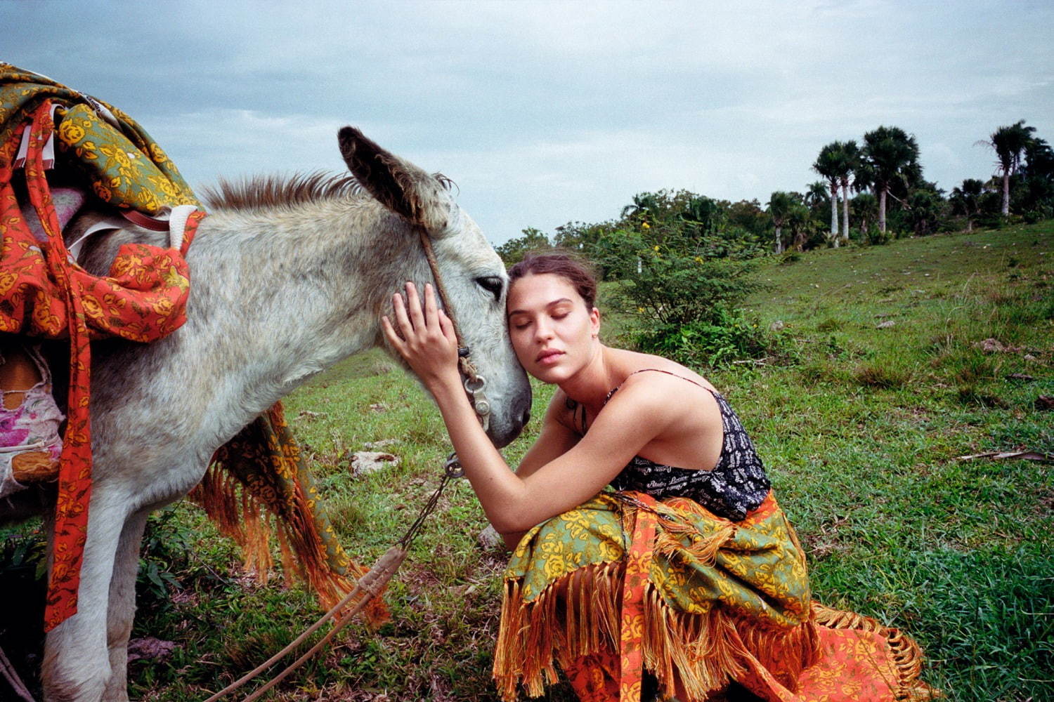 ロエベ(LOEWE) パウラズ イビザ｜写真9