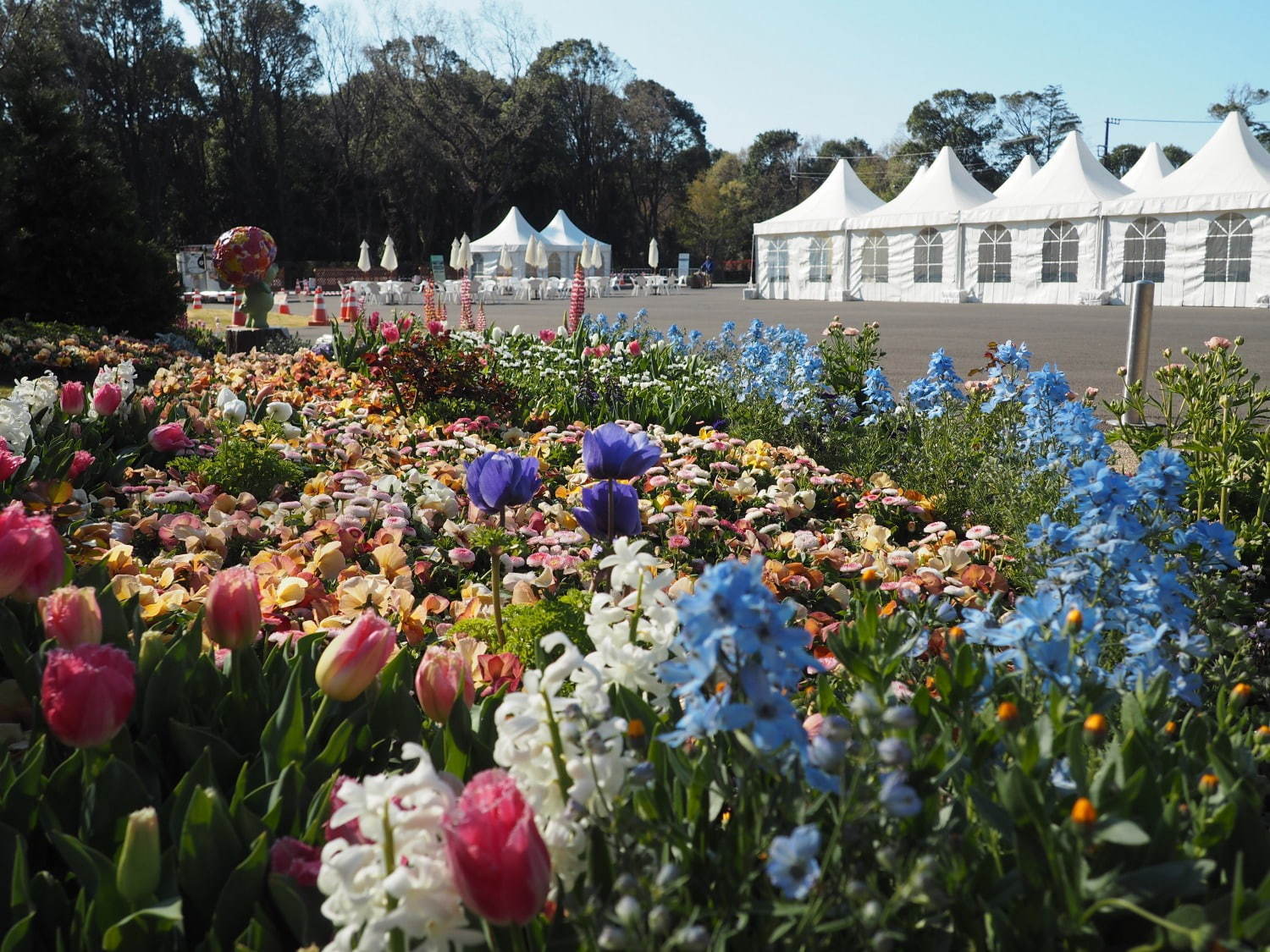 「ガーデンネックレス横浜 2019」開催、山下公園や里山公園にチューリップ＆桜が咲き誇る｜写真7