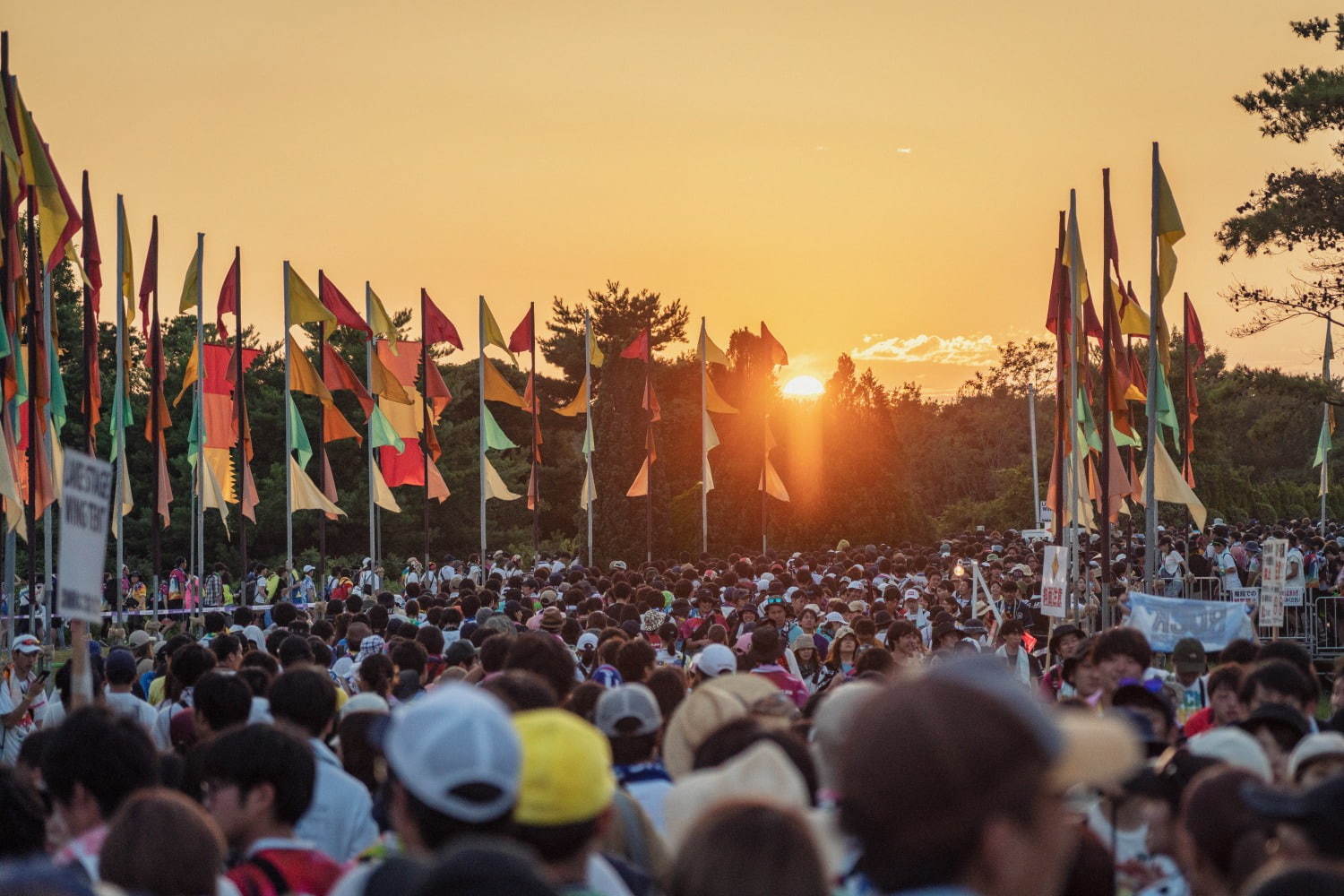 ロック・イン・ジャパン・フェスティバル 2019 国営ひたち海浜公園｜写真14