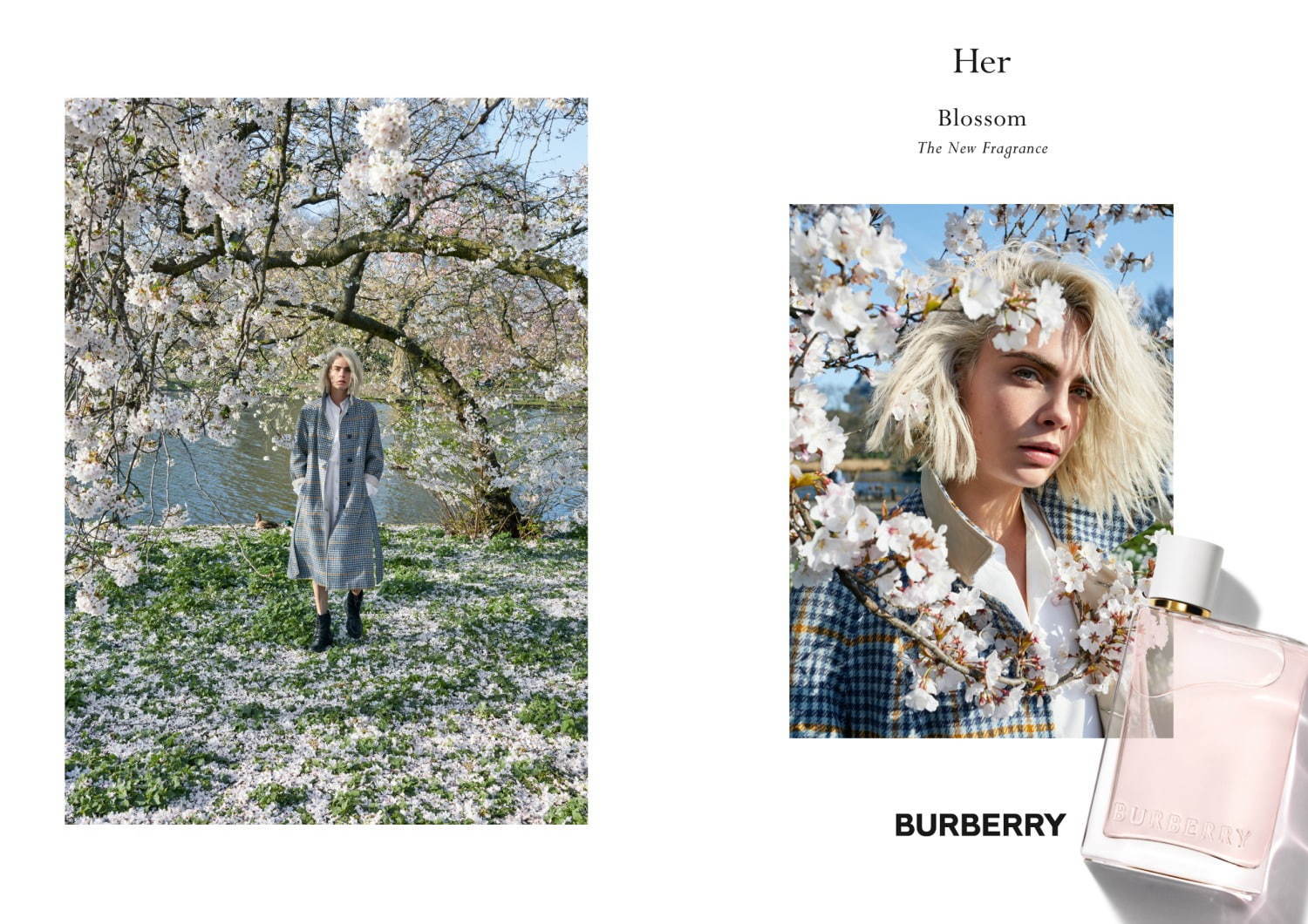 バーバリー(BURBERRY) バーバリー ハー ブロッサム｜写真2