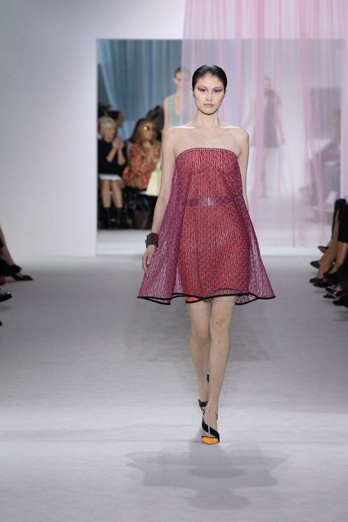 ディオール(DIOR) 2013年春夏ウィメンズコレクション  - 写真37