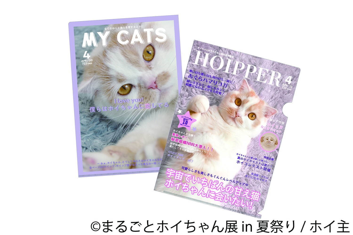 ねこ休み展スピンオフ「まるごとホイちゃん展」“夏祭り”がテーマの写真＆物販展、浅草で開催｜写真9