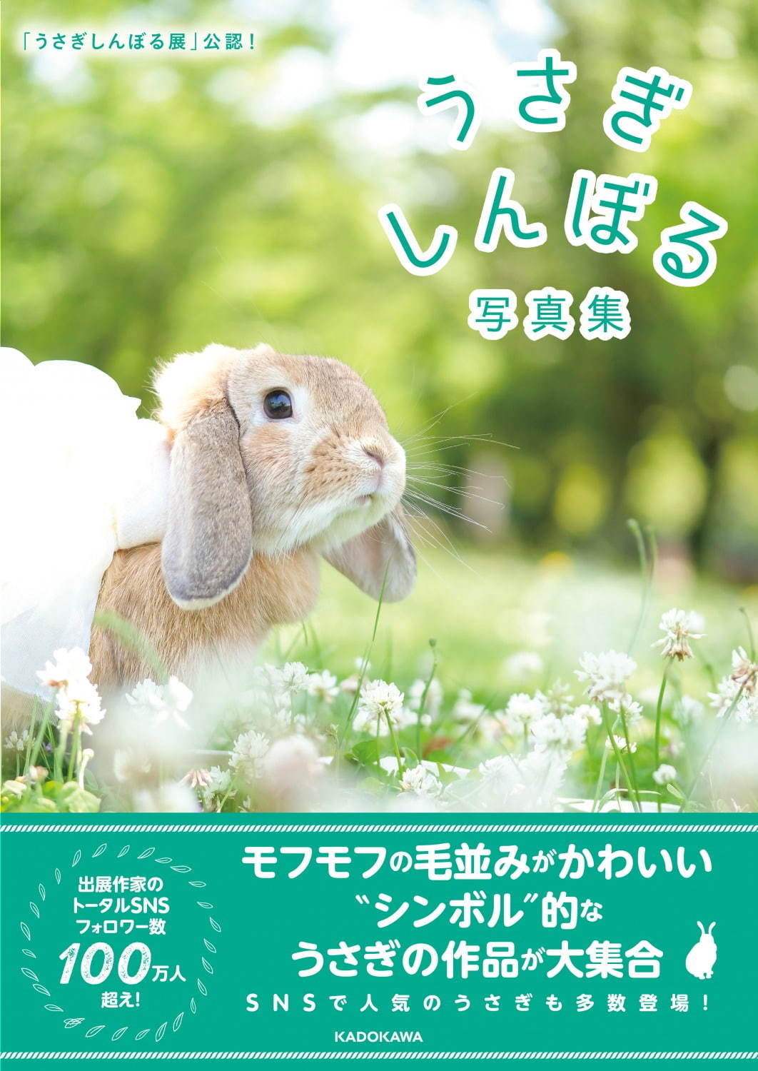 うさぎの合同写真＆物販展「うさぎしんぼる展」埼玉・浦和パルコで、ぬいぐるみなど限定グッズも｜写真28