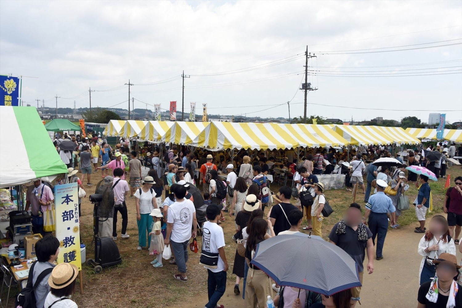 55万本の大輪が咲く「ひまわりまつり」が神奈川・座間で、“黄色い絨毯”のように広がるひまわり畑｜写真6