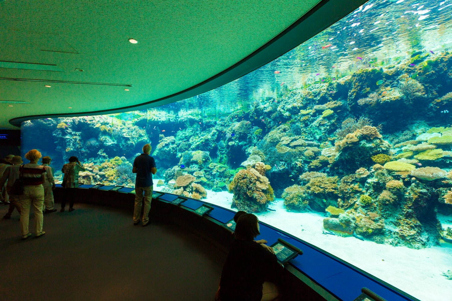 国営沖縄記念公園(海洋博公園)：沖縄美ら海水族館