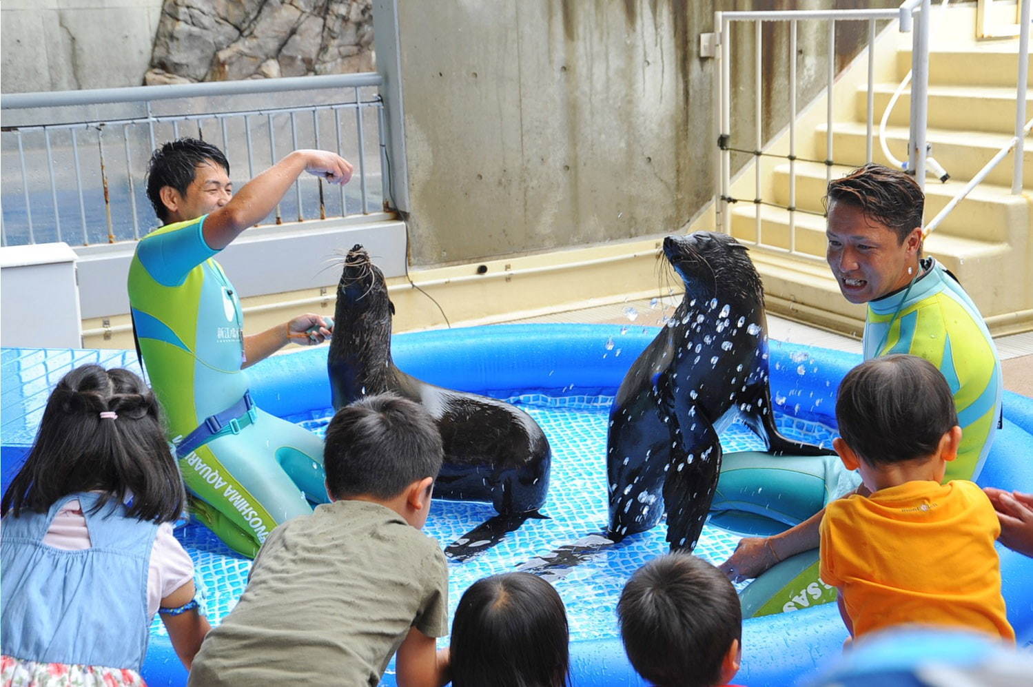 新江ノ島水族館「えのすいワンダーアクアリウム 2019」彩りの秋＆ハロウィンを海の生き物×光で表現｜写真8