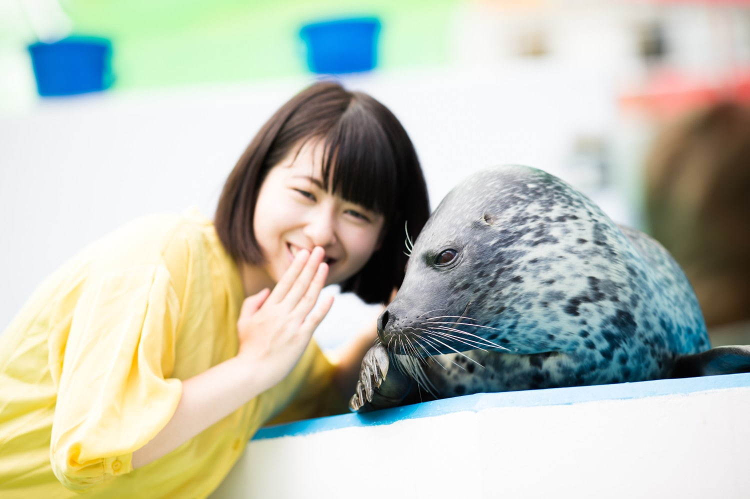 伊勢シーパラダイス“距離感ゼロ”のふれあい夏イベント、アザラシのひざ枕＆抱きつき体験｜写真5