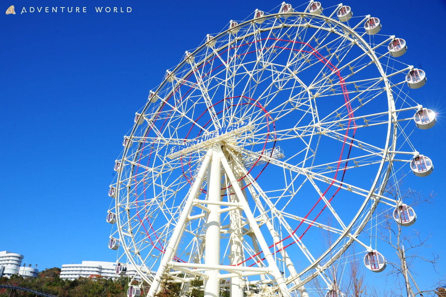 白浜「アドベンチャーワールド」7頭のパンダ家族がいる動物園や水族館、和歌山旅行に必見のアクセス方法も｜写真23