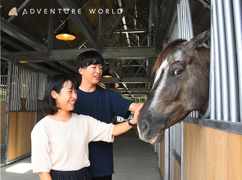 白浜「アドベンチャーワールド」7頭のパンダ家族がいる動物園や水族館、和歌山旅行に必見のアクセス方法も｜写真27