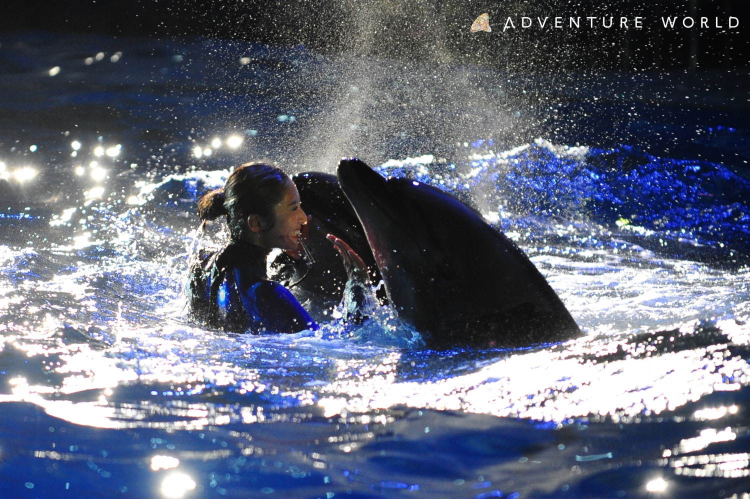 白浜「アドベンチャーワールド」7頭のパンダ家族がいる動物園や水族館、和歌山旅行に必見のアクセス方法も｜写真14