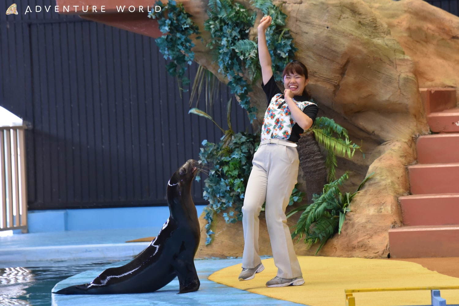 白浜「アドベンチャーワールド」7頭のパンダ家族がいる動物園や水族館、和歌山旅行に必見のアクセス方法も｜写真15