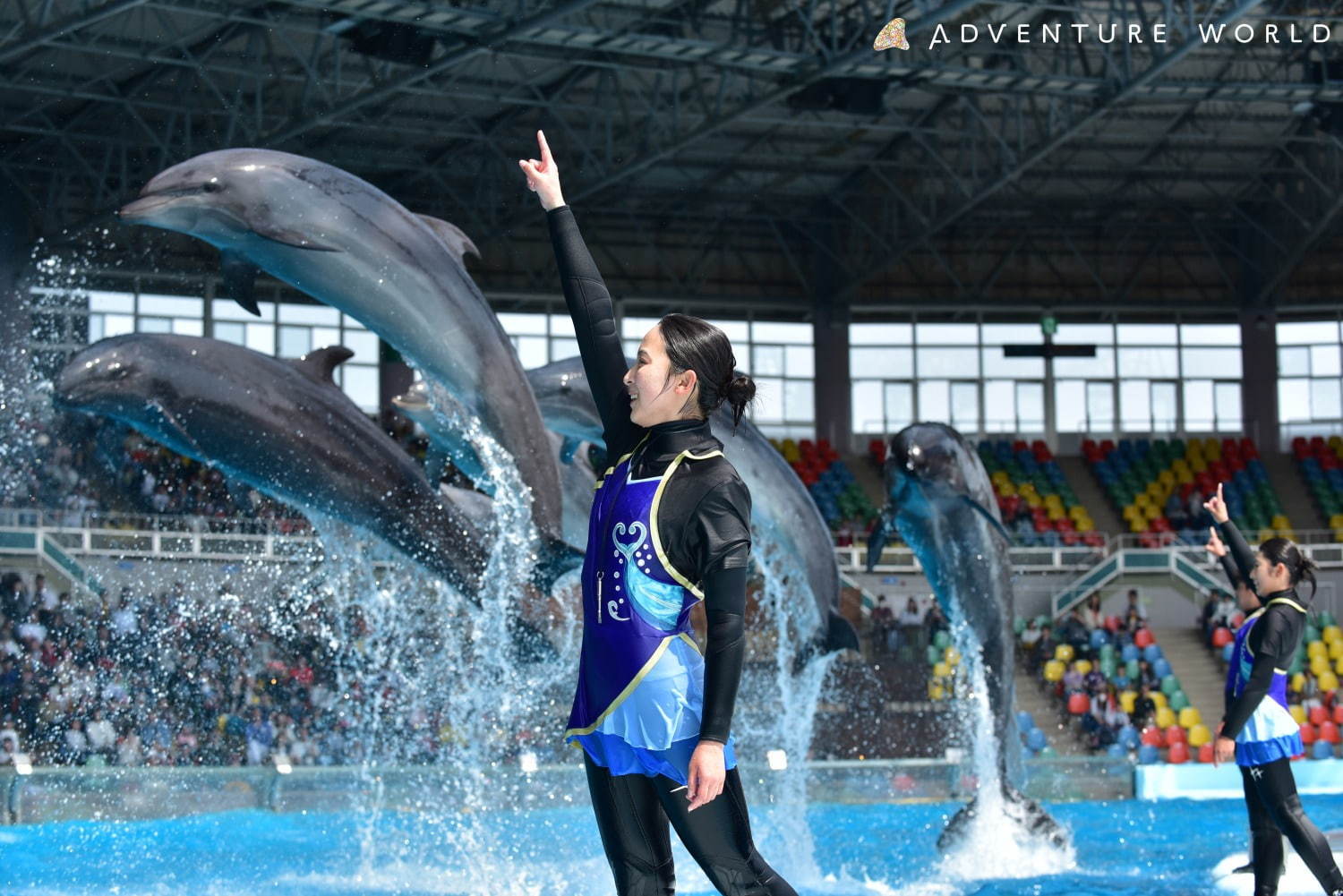 白浜「アドベンチャーワールド」7頭のパンダ家族がいる動物園や水族館、和歌山旅行に必見のアクセス方法も｜写真12