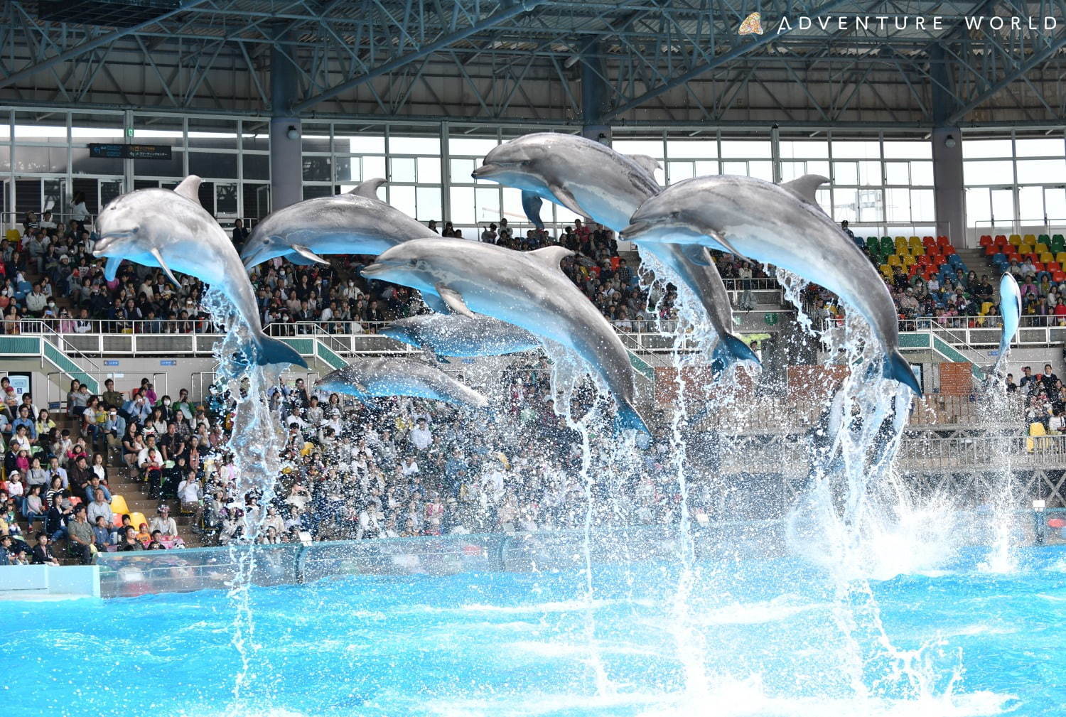 白浜「アドベンチャーワールド」7頭のパンダ家族がいる動物園や水族館、和歌山旅行に必見のアクセス方法も｜写真13