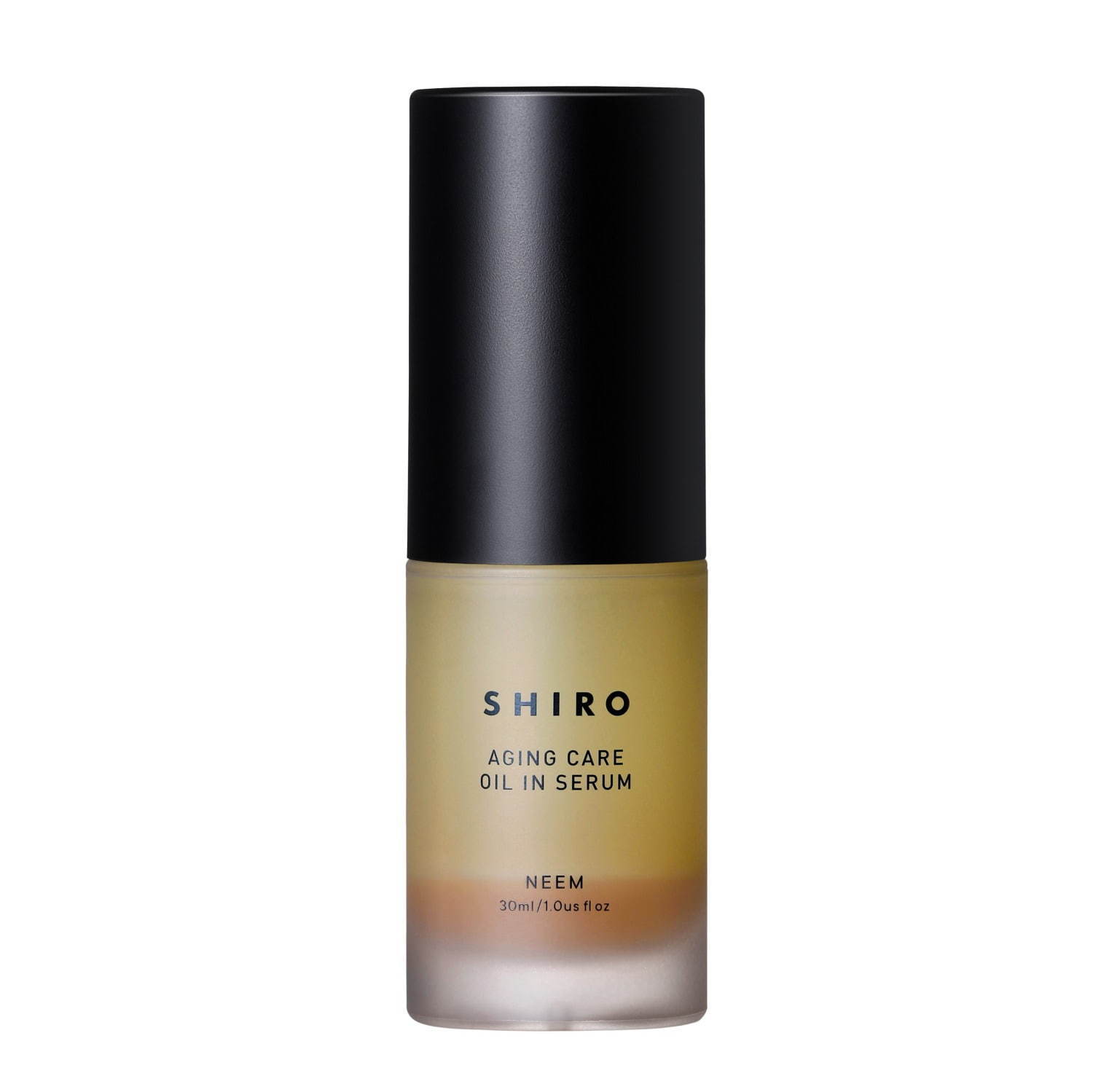 シロ(SHIRO) SHIRO｜写真30