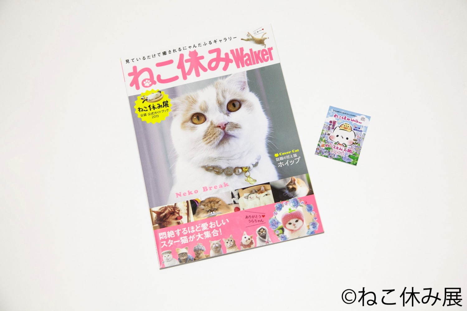 猫の合同写真展＆物販展「ねこ休み展 秋 2019」名古屋で、猫の抜け毛アートや新作ぬいぐるみ｜写真106