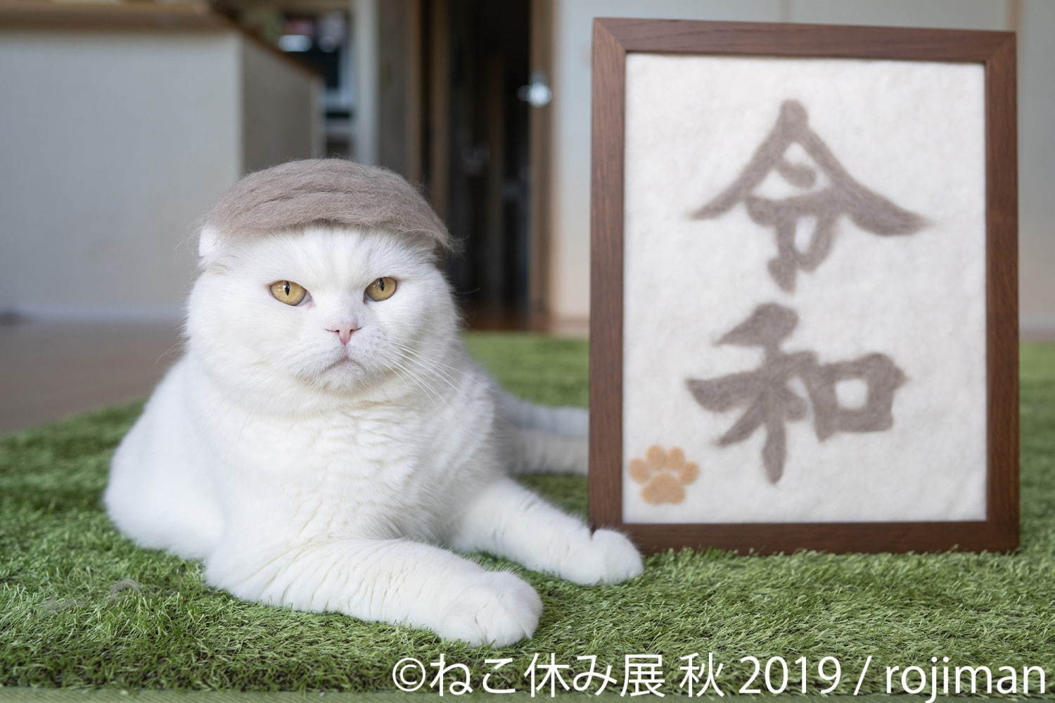 猫の合同写真展＆物販展「ねこ休み展 秋 2019」名古屋で、猫の抜け毛アートや新作ぬいぐるみ｜写真1