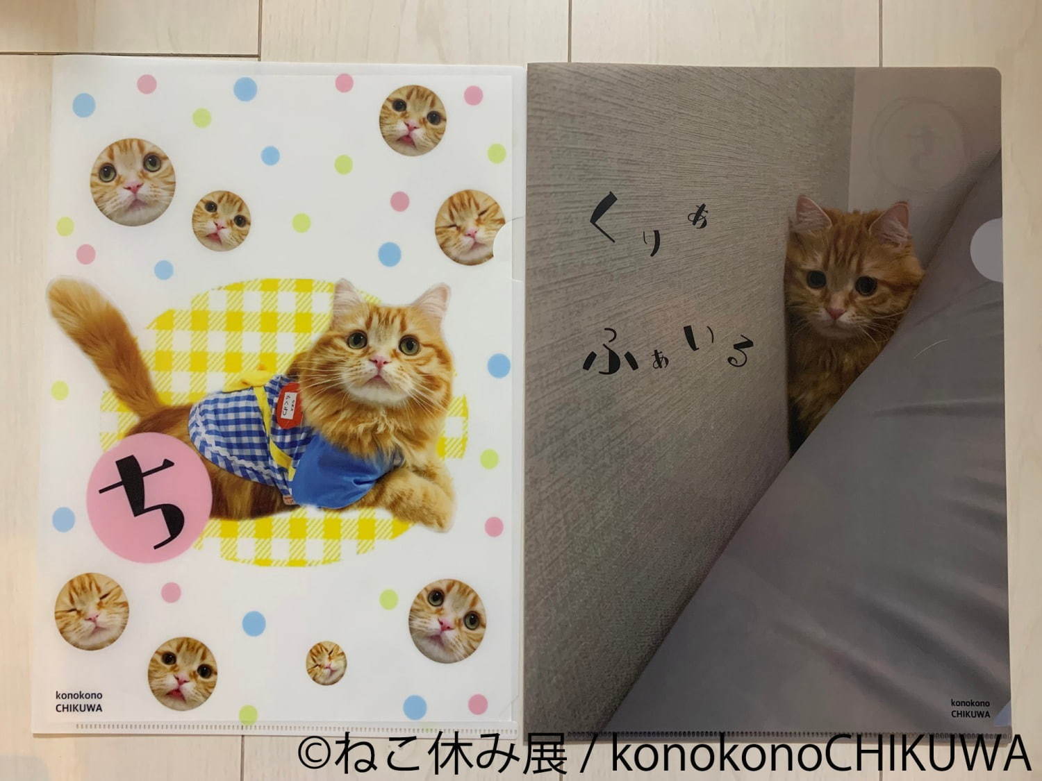 猫の合同写真展＆物販展「ねこ休み展 秋 2019」名古屋で、猫の抜け毛アートや新作ぬいぐるみ｜写真35