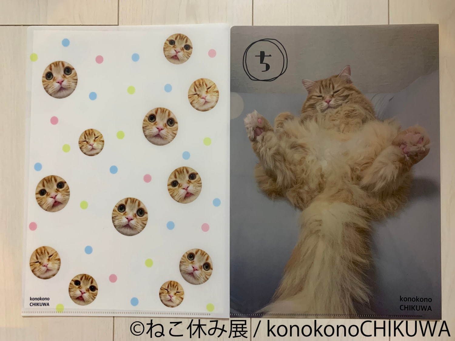 猫の合同写真展＆物販展「ねこ休み展 秋 2019」名古屋で、猫の抜け毛アートや新作ぬいぐるみ｜写真34