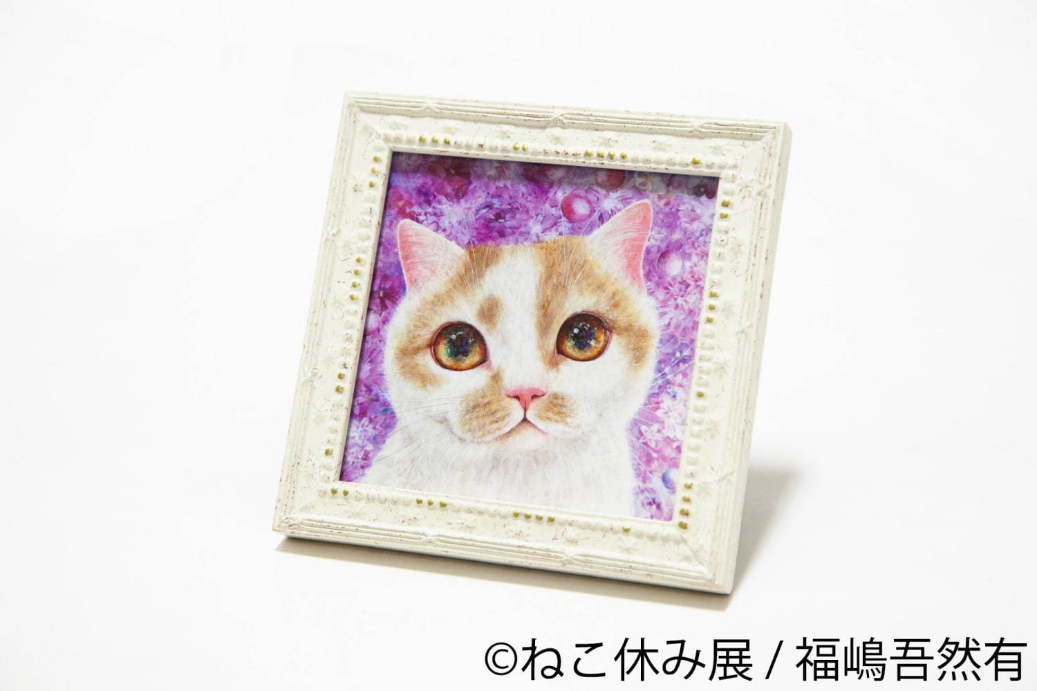 猫の合同写真展＆物販展「ねこ休み展 秋 2019」名古屋で、猫の抜け毛アートや新作ぬいぐるみ｜写真101