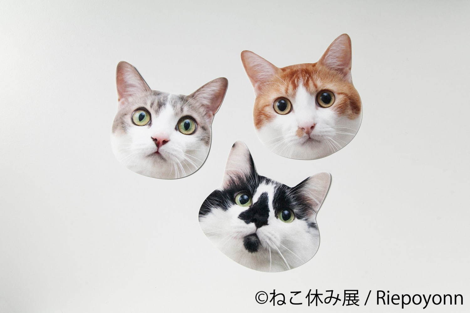 猫の合同写真展＆物販展「ねこ休み展 秋 2019」名古屋で、猫の抜け毛アートや新作ぬいぐるみ｜写真45