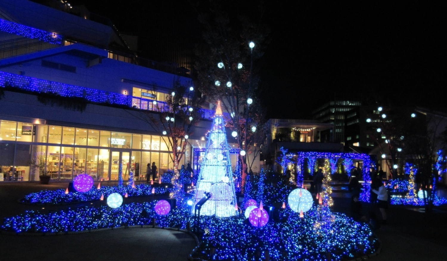 イルミネーション2019-20＜関東版＞東京・神奈川・千葉ほか、クリスマスを彩る幻想スポット｜写真22