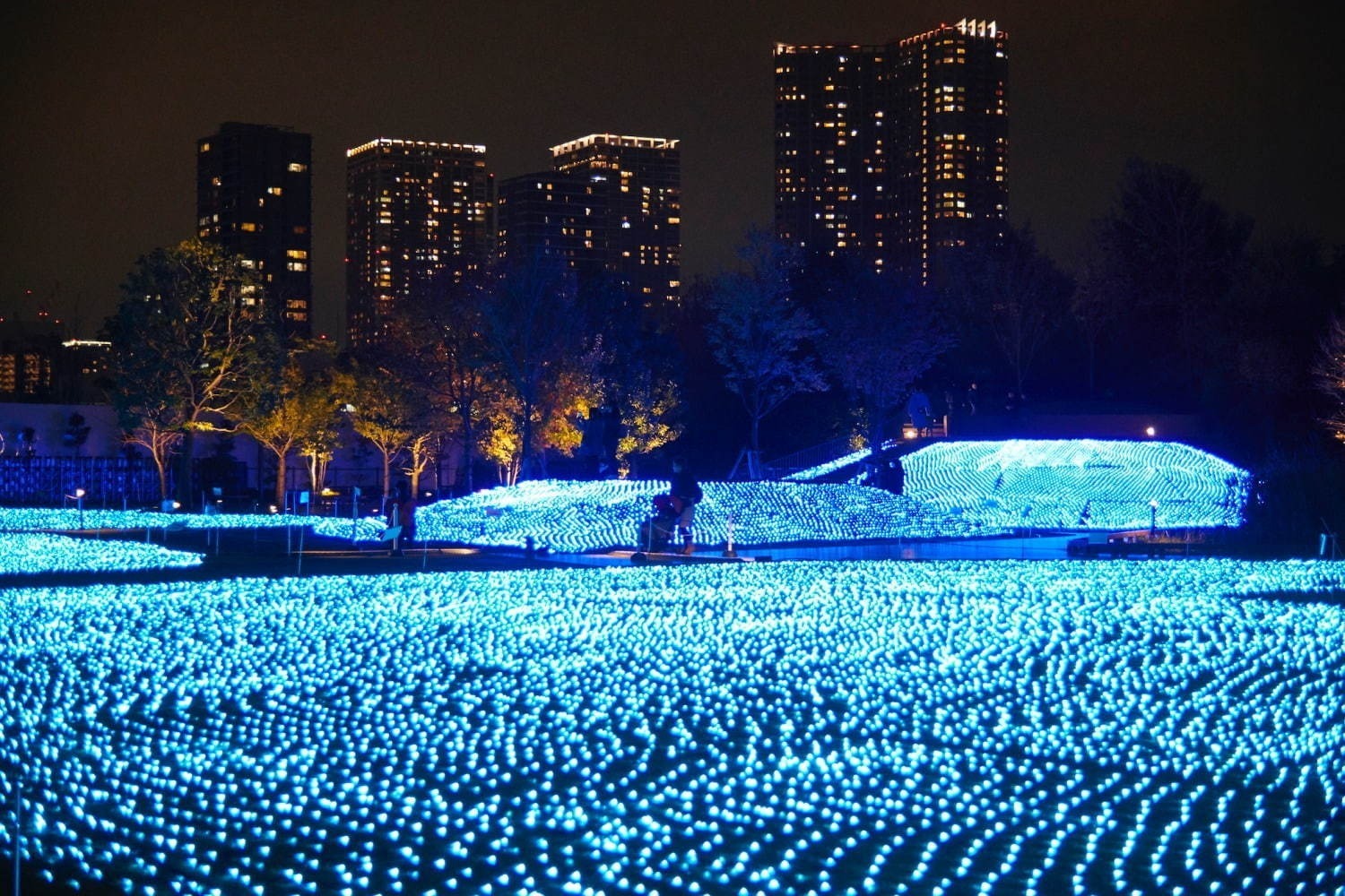 イルミネーション2019-20＜関東版＞東京・神奈川・千葉ほか、クリスマスを彩る幻想スポット｜写真19