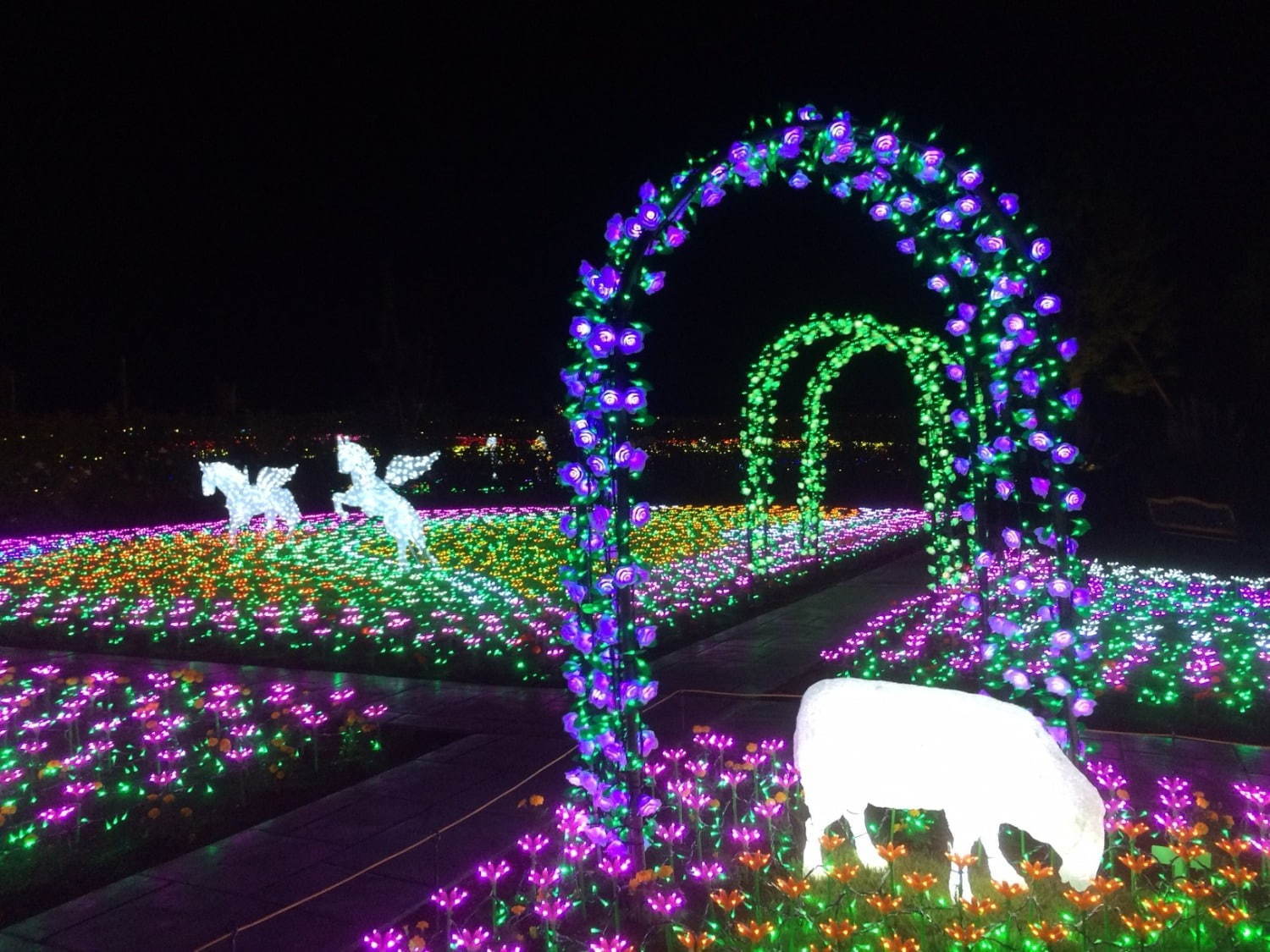 東武動物公園のウィンターイルミネーション19年、鮮やかなレーザー輝く音楽×光×映像ショーも｜写真11