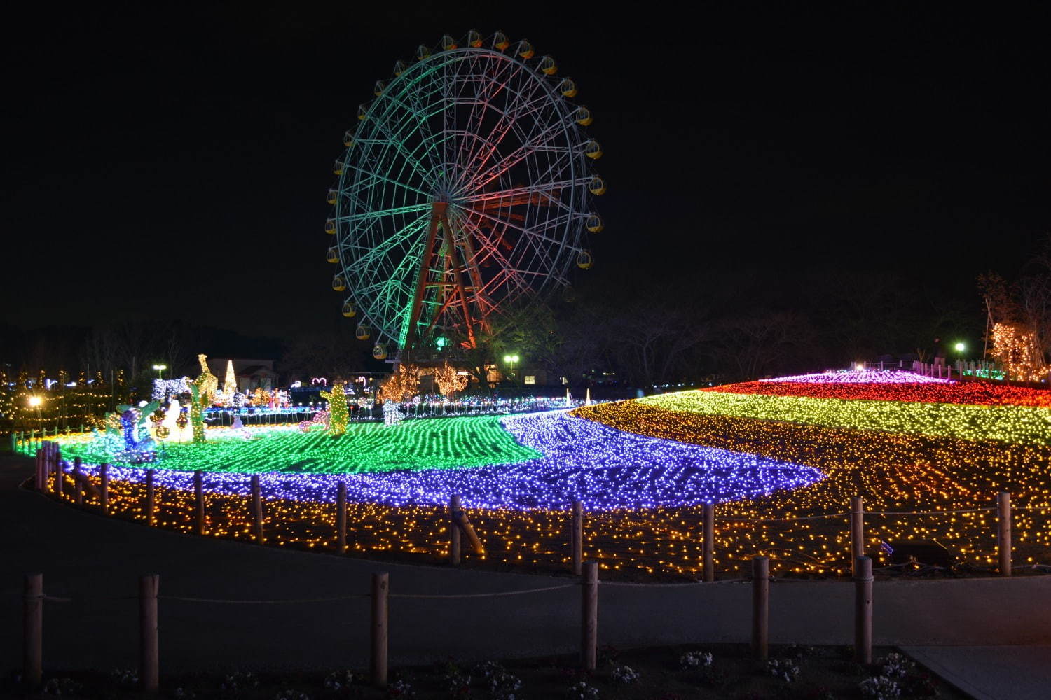 東武動物公園のウィンターイルミネーション19年、鮮やかなレーザー輝く音楽×光×映像ショーも｜写真5