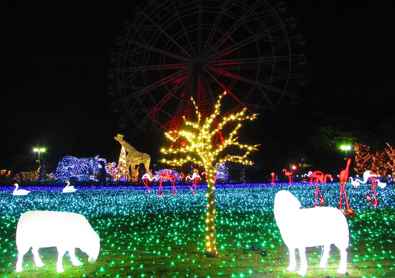 東武動物公園のウィンターイルミネーション19年、鮮やかなレーザー輝く音楽×光×映像ショーも｜写真13