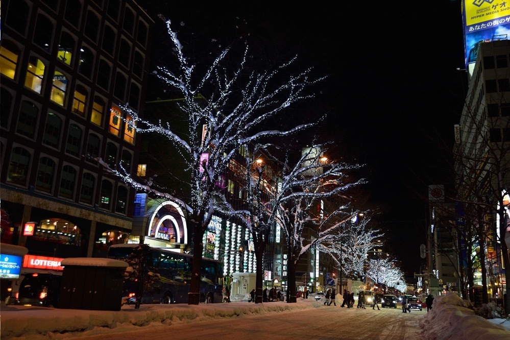 札幌のホワイトイルミネーション＆雪まつり - 光で演出する雪景色、スノーラフトなどの屋外施設も｜写真1