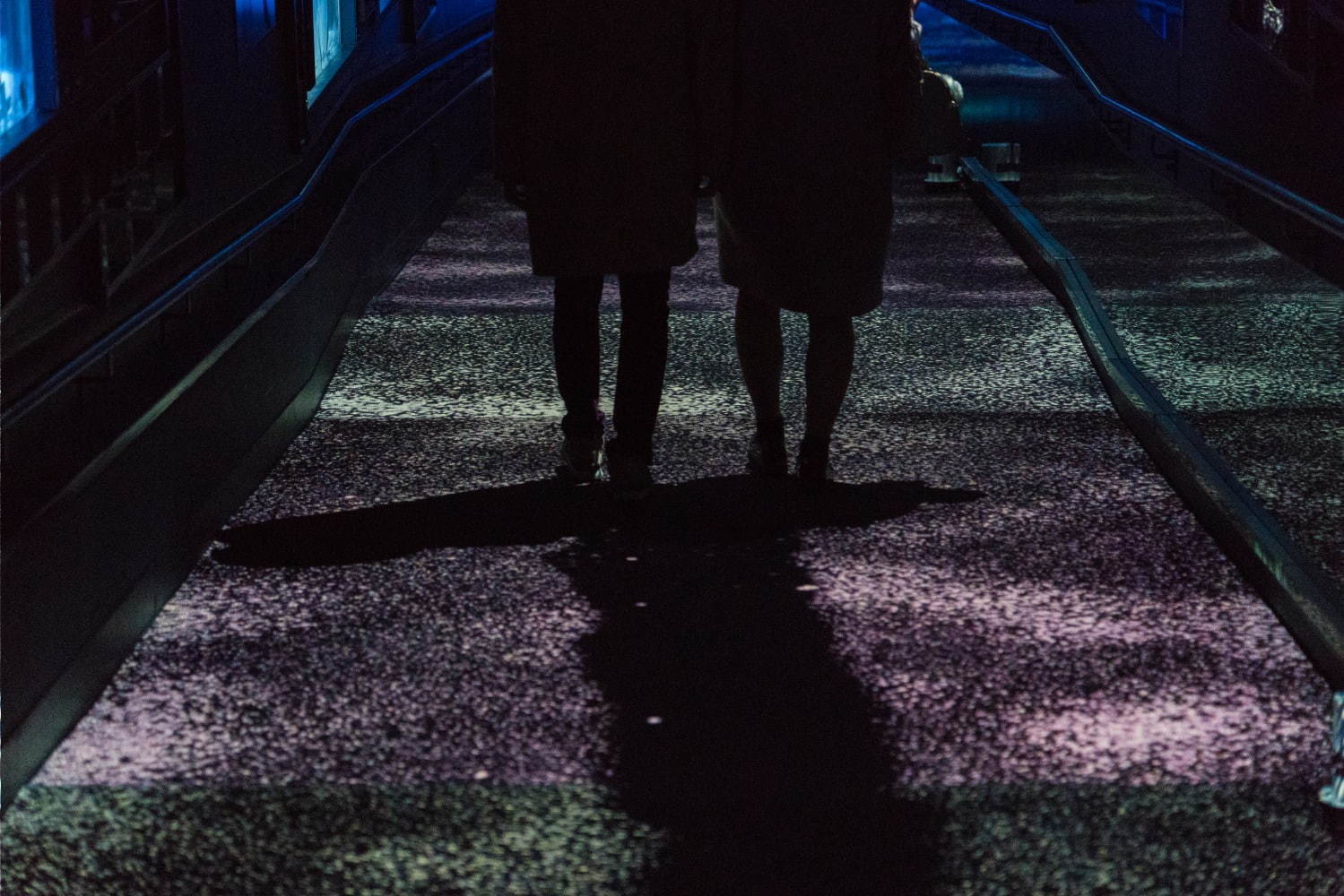 すみだ水族館「雪とクラゲ」美しい冬の都会にクラゲ浮かぶ幻想空間｜写真10