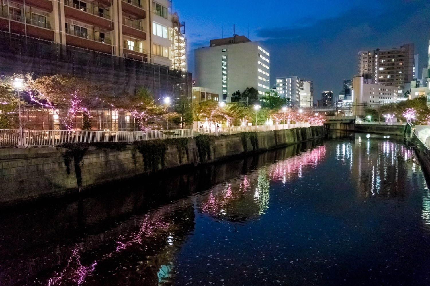 「目黒川みんなのイルミネーション2019」総延長約2.2km、41万個のLEDで楽しむ“冬の桜”｜写真5