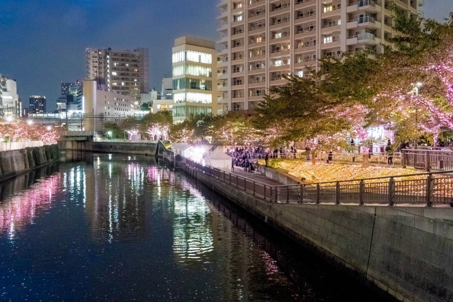 「目黒川みんなのイルミネーション2019」総延長約2.2km、41万個のLEDで楽しむ“冬の桜”｜写真4