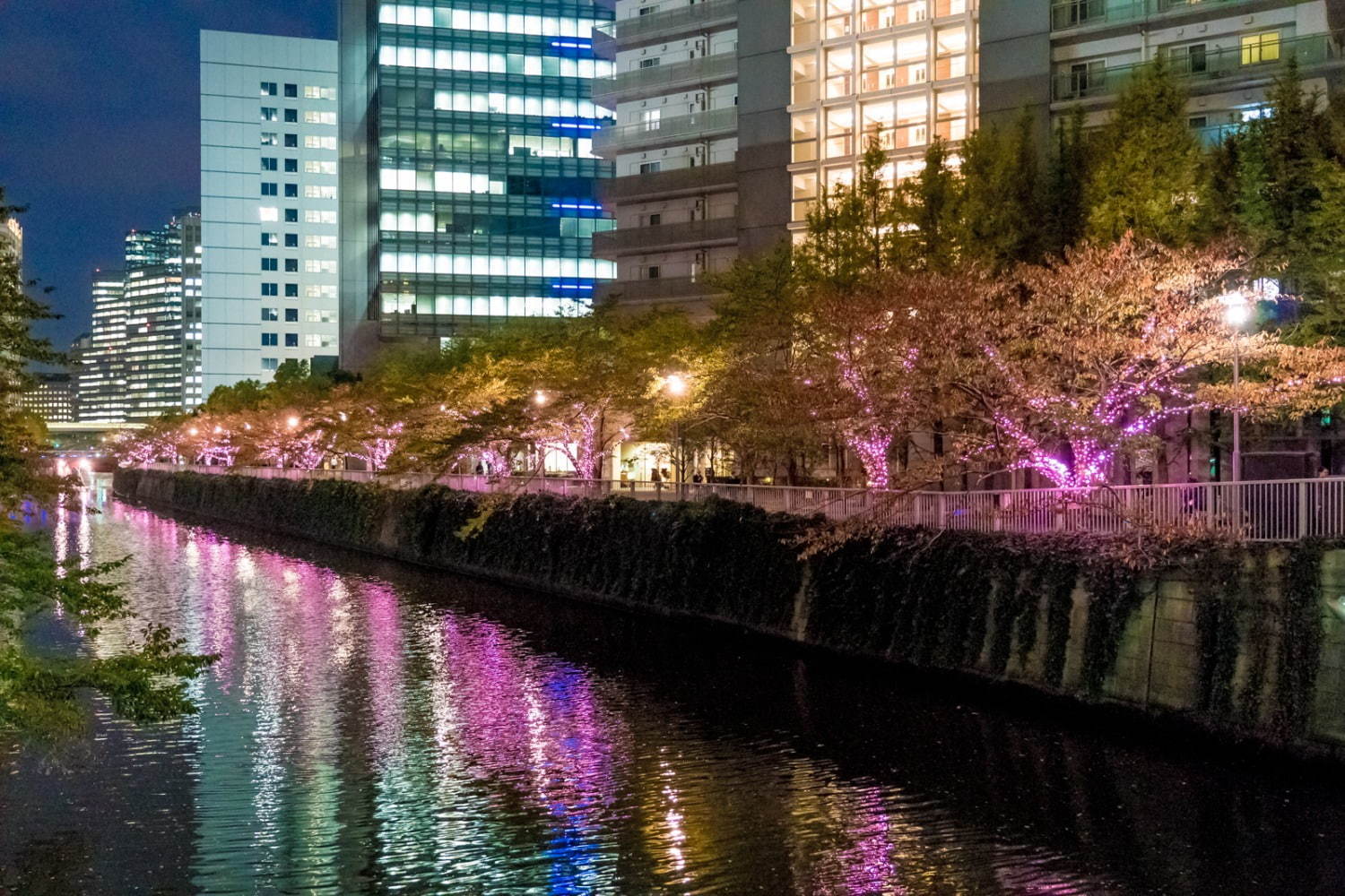 「目黒川みんなのイルミネーション2019」総延長約2.2km、41万個のLEDで楽しむ“冬の桜”｜写真10