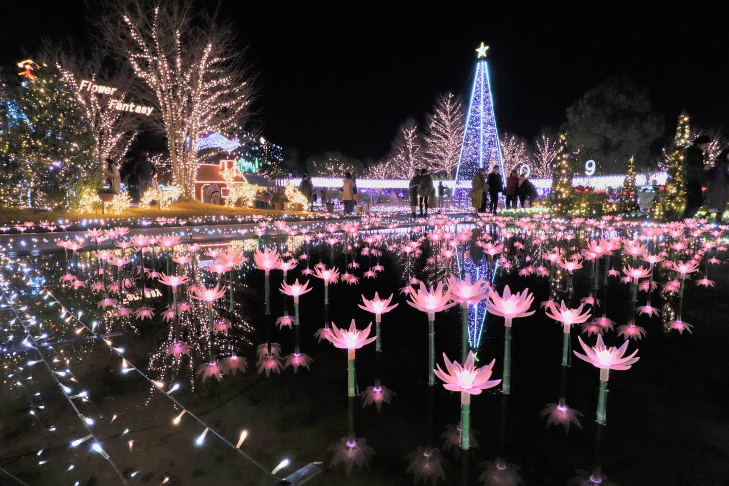 栃木・あしかがフラワーパークのイルミネーション - “藤の花”煌くライトアップ＆童話のようなお城も｜写真11