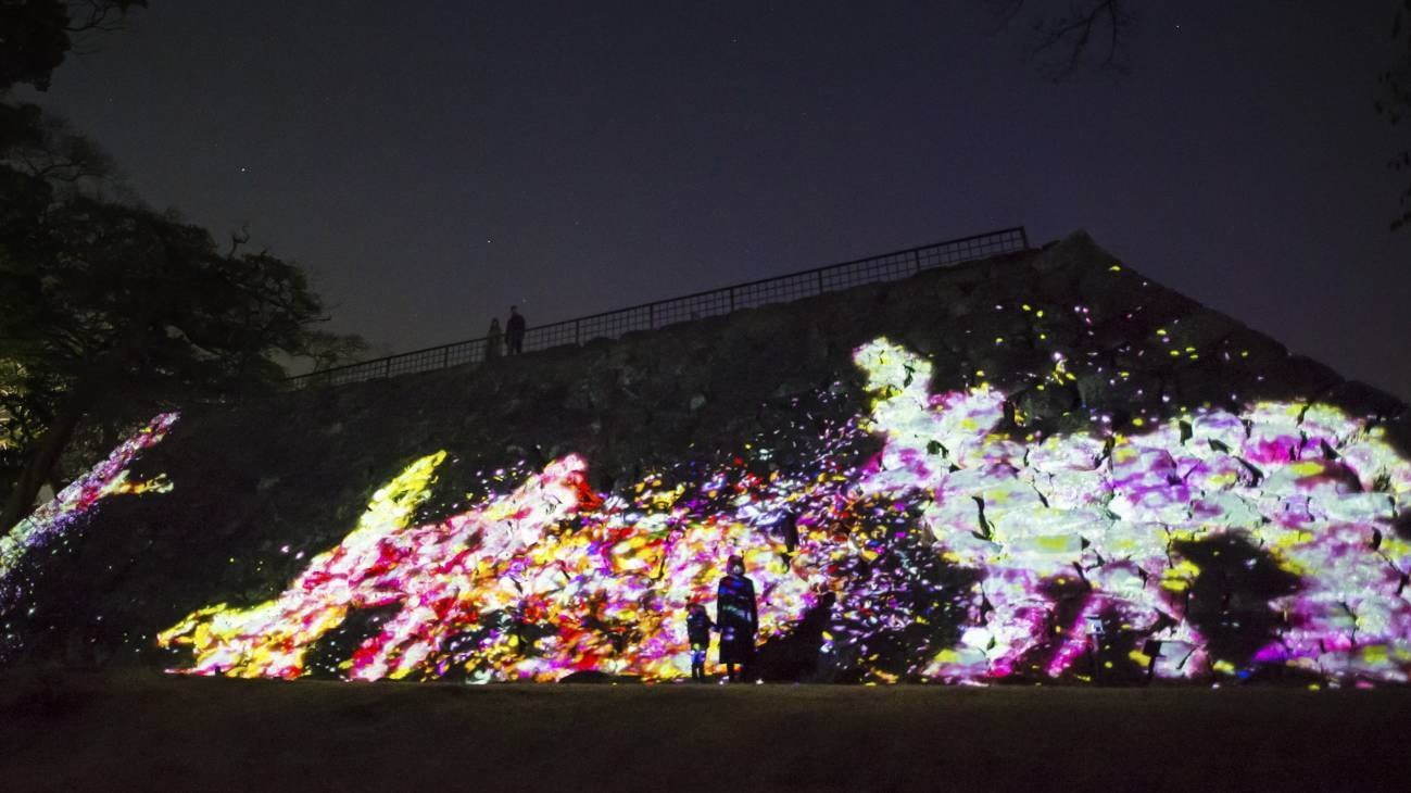 大天守台跡の石垣に住まう花と共に生きる動物達 / Animals of Flowers, Symbiotic Lives in the Stone Wall - Fukuoka Castle Tower Ruins
teamLab, 2017, Interactive Digital Installation, Sound: Hideaki Takahashi