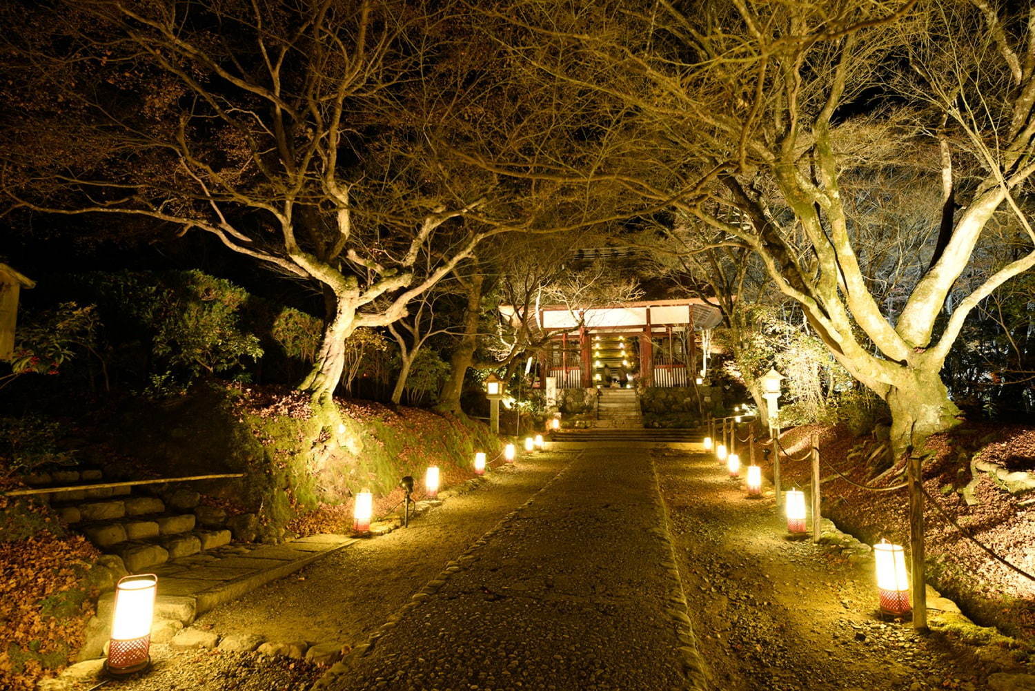 常寂光寺