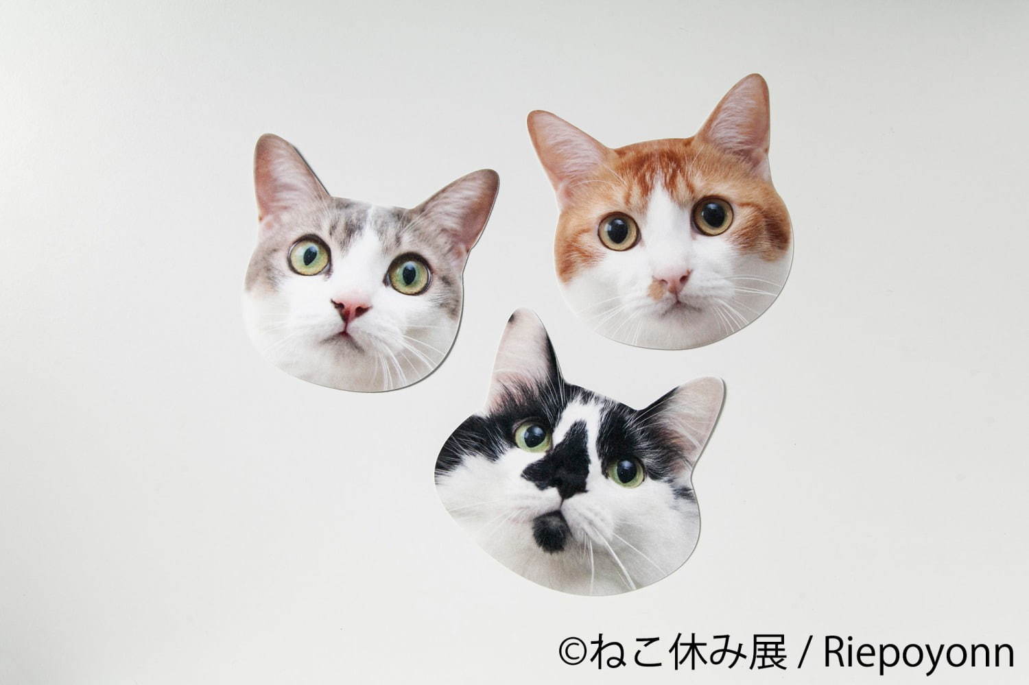 「ねこ休み展 in 船橋」猫の彫刻やぬいぐるみなど作品展示400点以上、物販2,000点以上が集結｜写真35