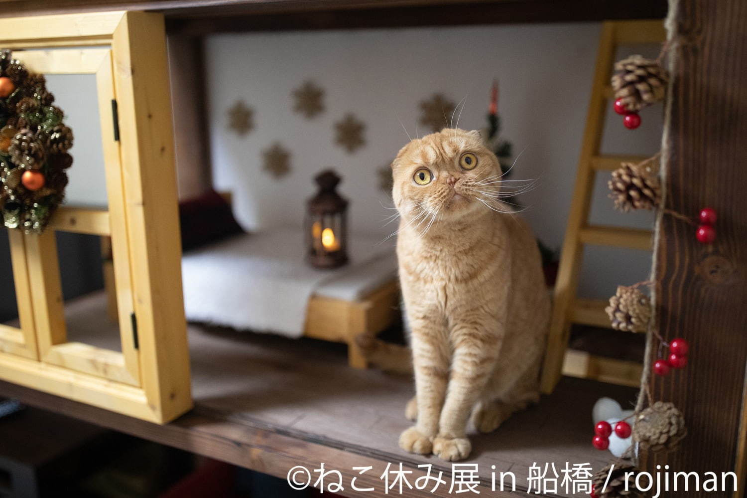 「ねこ休み展 in 船橋」猫の彫刻やぬいぐるみなど作品展示400点以上、物販2,000点以上が集結｜写真8