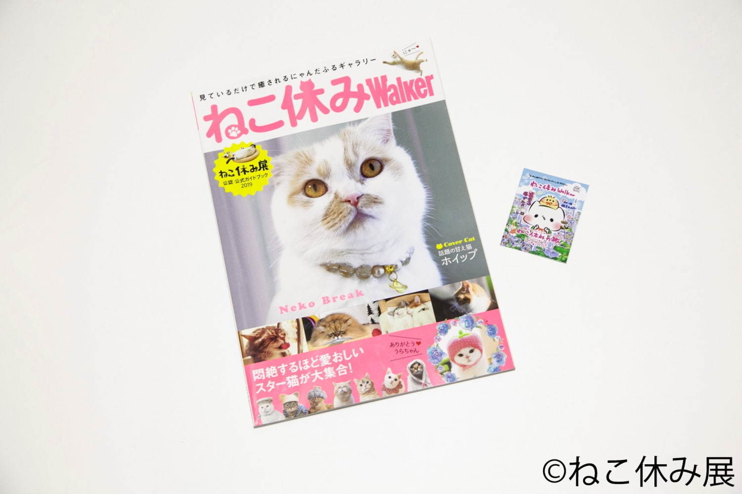 「ねこ休み展 in 船橋」猫の彫刻やぬいぐるみなど作品展示400点以上、物販2,000点以上が集結｜写真80