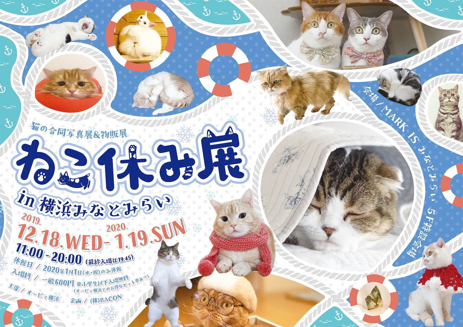 「ねこ休み展 in 横浜みなとみらい」冬らしい“癒し”のねこ写真展示＆限定グッズも｜写真3