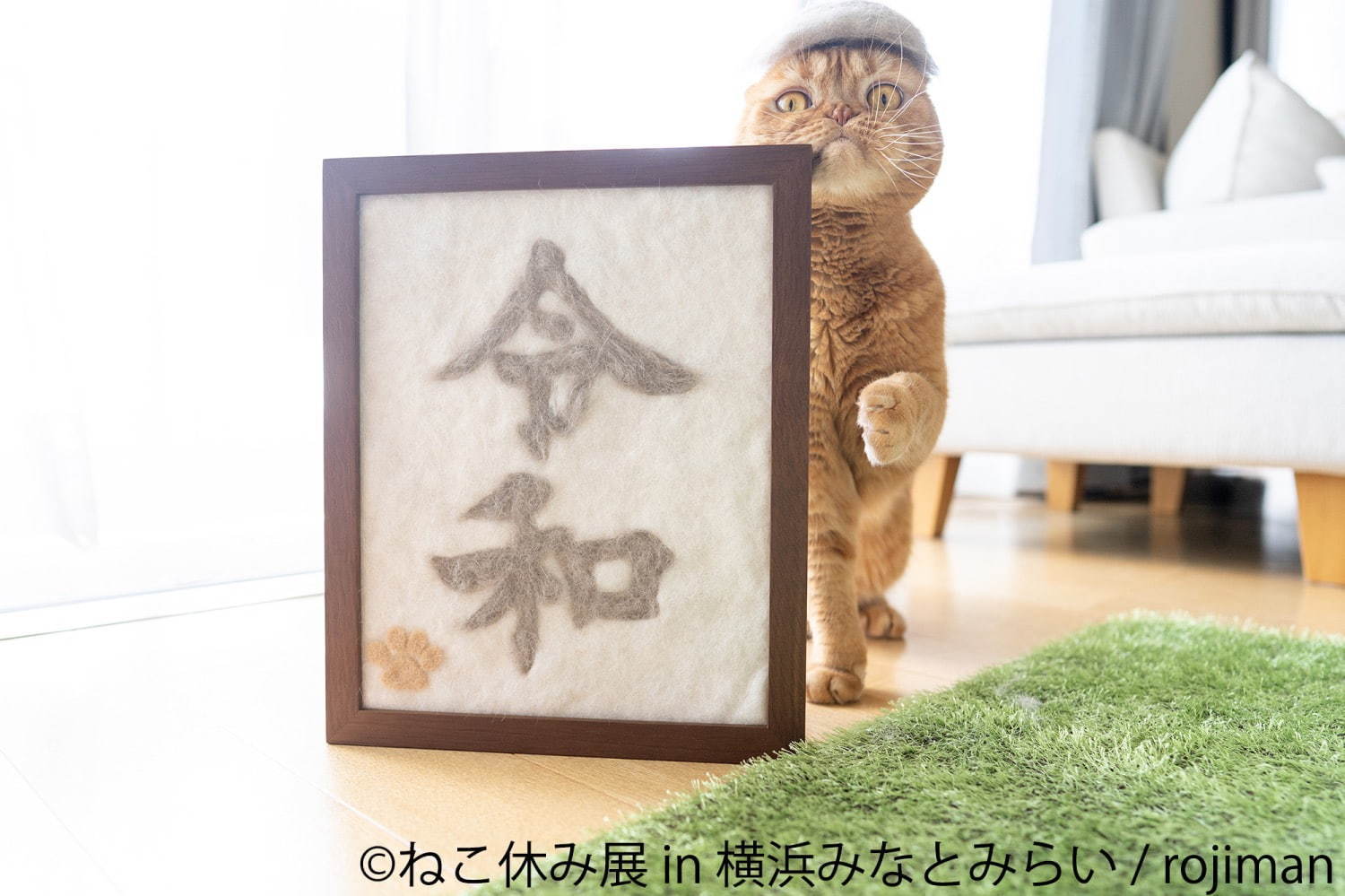 「ねこ休み展 in 横浜みなとみらい」冬らしい“癒し”のねこ写真展示＆限定グッズも｜写真105