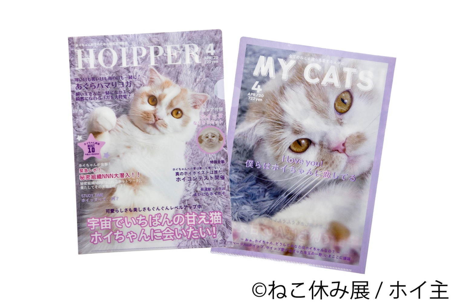 「ねこ休み展 in 横浜みなとみらい」冬らしい“癒し”のねこ写真展示＆限定グッズも｜写真62