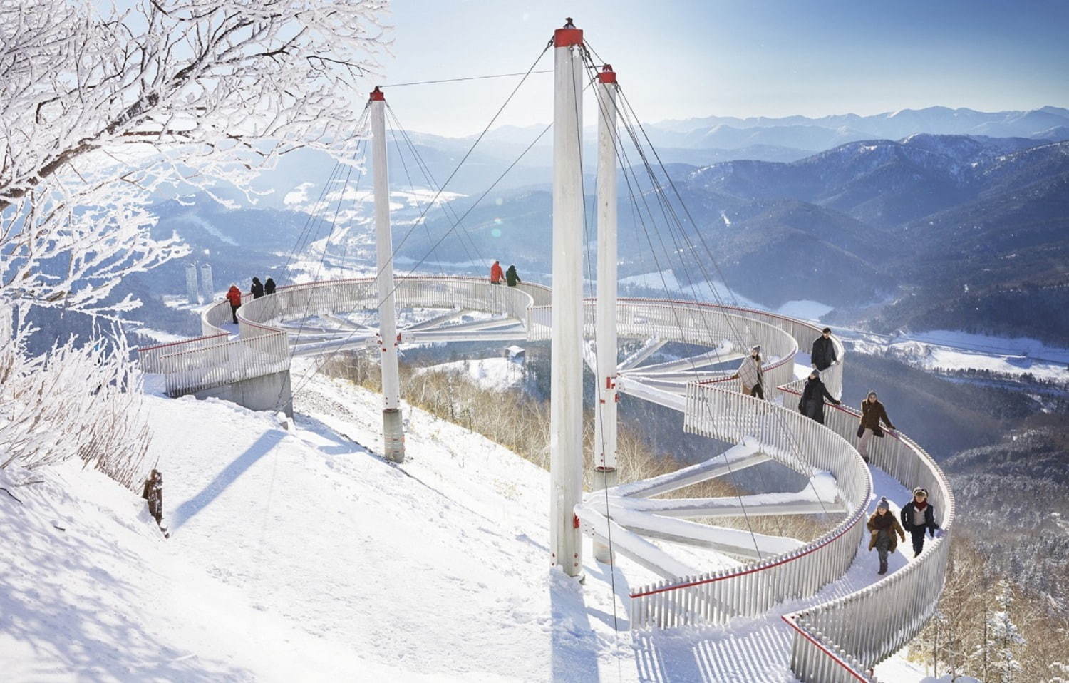 北海道・星野リゾート トマム“雪山の絶景＆霧氷”を鑑賞できる「霧氷テラス」限定オープン｜写真8