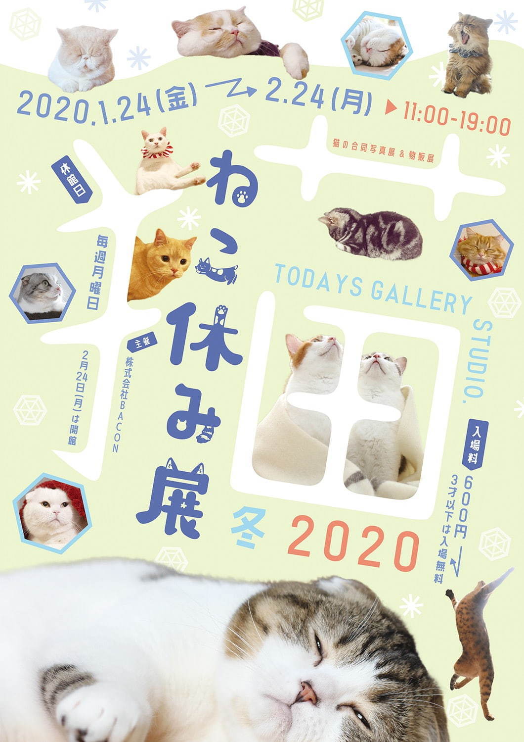 過去最大級の「ねこ休み展」東京で、癒しの“ねこ”写真など新作展示＆限定グッズを販売｜写真63