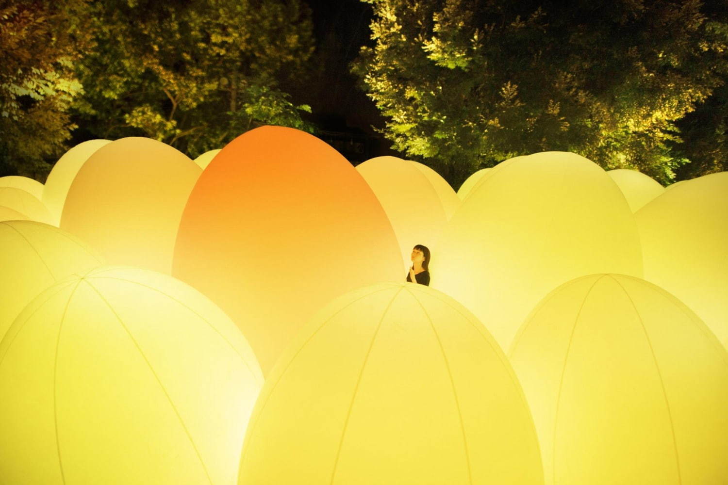 自立しつつも呼応する生命の森 / Forest of Autonomous Resonating Life
teamLab, 2018, Interactive Installation, Endless, Sound: Hideaki Takahashi