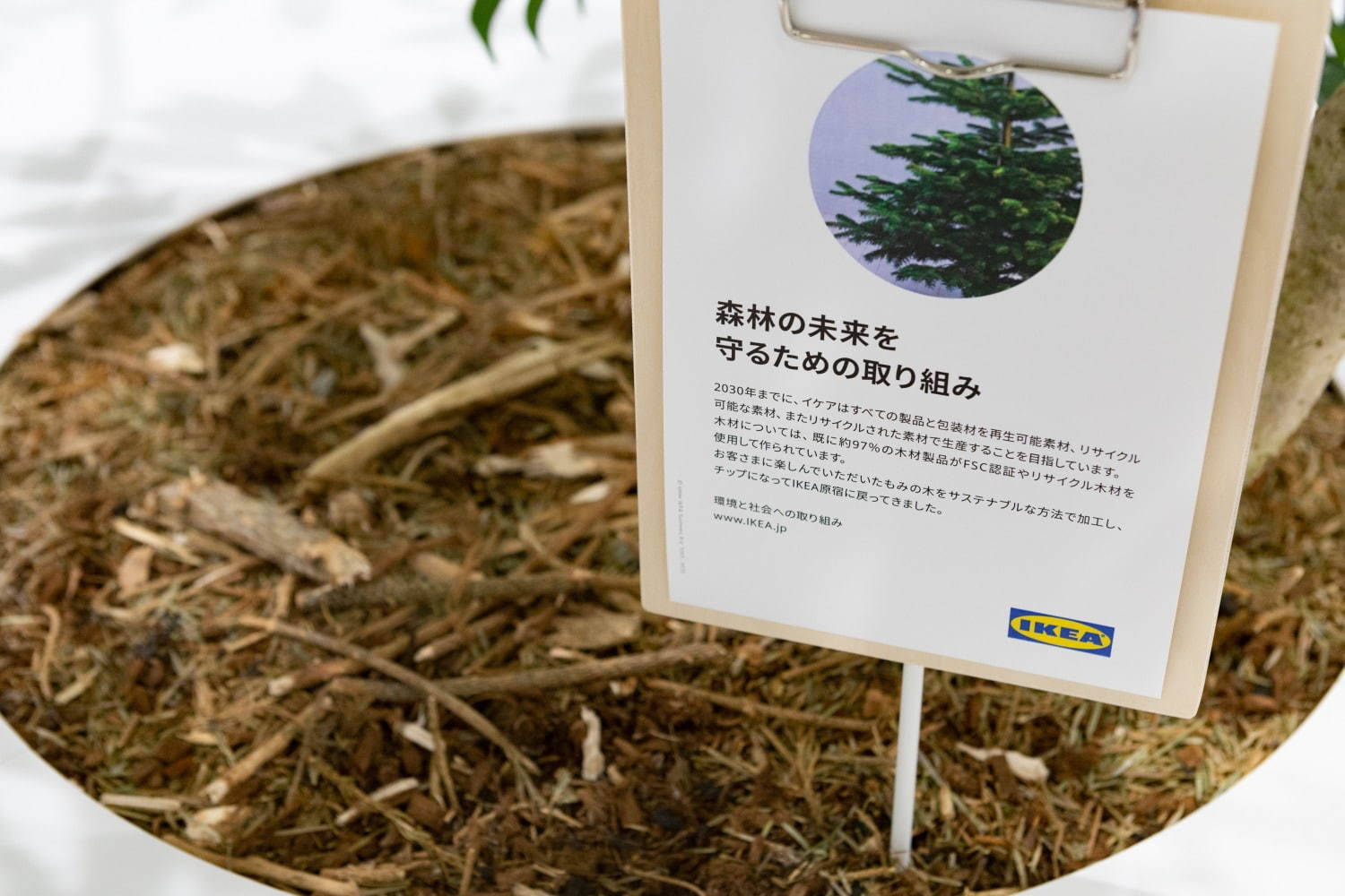 イケア(IKEA) イケア 原宿｜写真65