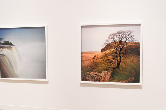 国内外の現代作家に注目した「アーティスト・ファイル2013」展覧会レポート｜写真58