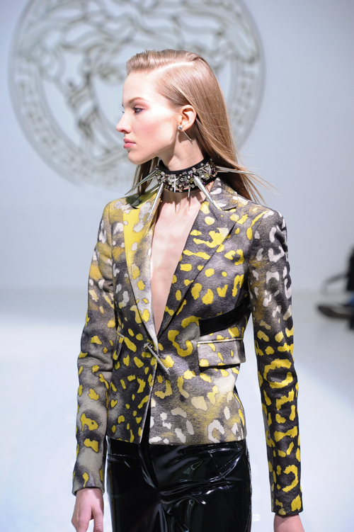 ヴェルサーチェ(VERSACE) 2013-14年秋冬ウィメンズコレクション  - 写真40